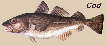 Peixe Cod